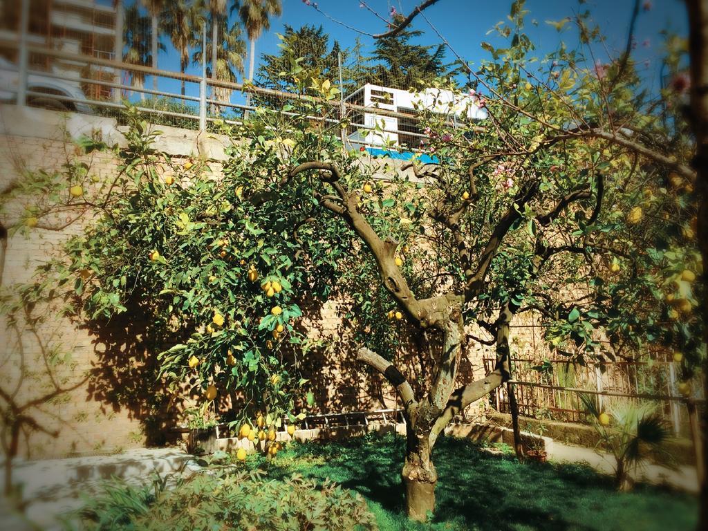 فندق Aloha House فورميا المظهر الخارجي الصورة